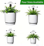 2 Pcs Wall Mounted Hanging Planter Vase for Indoor Outdoor Plants,Modern Metal Wall and Ceiling Hanging Flower Pot with Removable Flower Pot,Minimalist Decor for Herbs Succulents Flowers,6.7Inch,White - Image 5