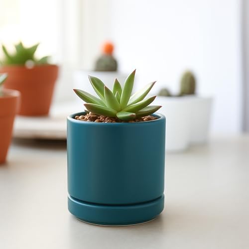 D'vine Dev 4-Pack Ceramic Pots with Saucers, Teal, 3.5 in, 94-X-A-9 - Image 5
