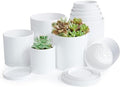 D'vine Dev 10-Pack Plastic Pots with Saucers, 4-6 in, White, 74-R-A by DvineDevPlanterPotsandStand