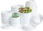 D'vine Dev 10-Pack Plastic Pots with Saucers, 4-6 in, White, 74-R-A by DvineDevPlanterPotsandStand