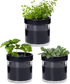 Phoenix Vine 4 Inch Self Watering Planter Pot, Black Terracotta Clay Pot with Glass Reservoir for Indoor Plants, Herbs, Flowers, Set of 3, 52-C-E-3 by Phoenix+Vine