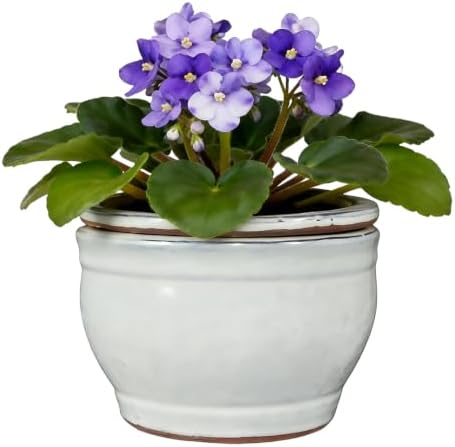 Self Watering Pot for African Violets Indoor Outdoor Plants, 6 inch, White by SanmudecorGarden