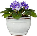 Self Watering Pot for African Violets Indoor Outdoor Plants, 6 inch, White by SanmudecorGarden
