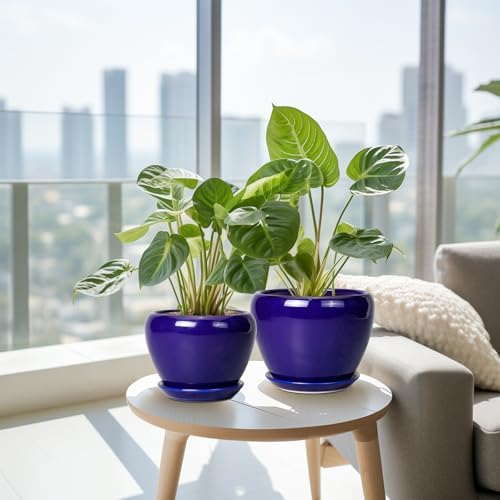 Flower Pots for Indoor Plants- Ceramic Pots for Plants 10 Inch 8 Inch 6 Inch Plant Pots with Drainage Holes and Saucers Decorative Large Planters for Outdoor Plants Set of 3 Blue - Image 5
