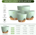Plant Pots, 4 Pack 12/10/9/8 Inch Self Watering Pots with Drainage Holes, Water Level Indicator Deep Reservoir, Large Planters for Indoor Outdoor Plants - Green Brown - Image 2
