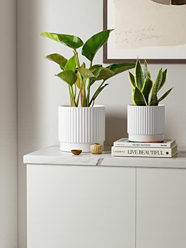 LE TAUCI Ceramic Pots for Plants, 8+6.7+5.5 Inch Plant Pots Indoor, Flower Pot with Drainage Holes, Medium Cylinder Planters for Indoor House Plants, Set of 3, White - Image 2