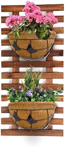 Palm Naki 14" Metal Wall Hanging Planter Basket with Coco Coir Liner - Set of 4 - Image 5