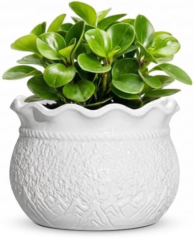 Ceramic Flower Pots, 6 Inch Plant Pot for Indoor Plants, White by Fivepot