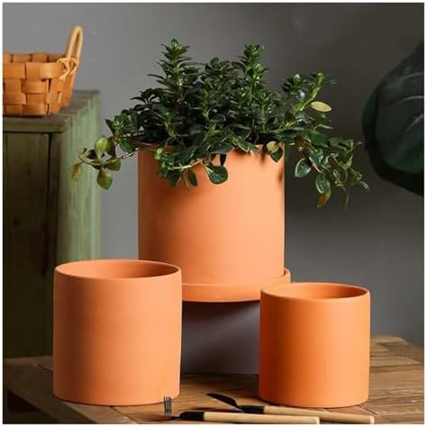 Flower pots Planter For Indoor Cylindrical Breathable Outdoor Indoor(9cm) - Image 5