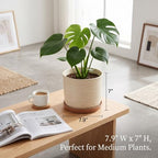 8 Inch Ceramic Plant Pot with Drainage Hole & Separate Saucer - Image 3