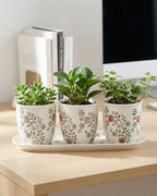 vensovo Ceramic Planter Set with Tray, 3 Small Herb Pots, Green Leaf - Image 7
