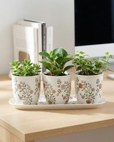 vensovo Ceramic Planter Set with Tray, 3 Small Herb Pots, Green Leaf - Image 7