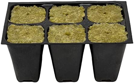 Seed Starter Tray, 1440 Cells (240 Trays - 6 Cells Per Tray) + Plant Stakes - Image 3
