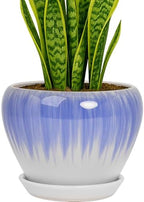 Deep Dream 8 Inch Plant Pots- Ceramic Pots for Plants with Drainage Hole and Saucer, Large Planter Pot for Indoor Plants Outdoor Decor, White&Blue by DeepDream
