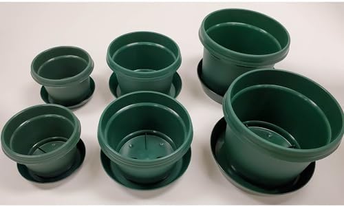 Set of 6 HG with Saucer Qty 2 7 inch, Qty 2 9 inch, Qty 2 11 inch Copy by AustinPlanter
