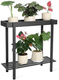 Honla 2 Tier Metal Plant Stand,Indoor Outdoor Plant Table for Window,Black by Honla