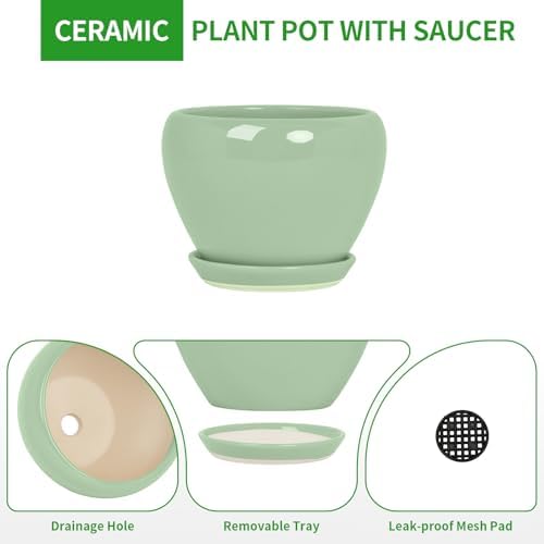 Deep Dream 10 Inch Plant Pot- Ceramic Planter Pot Round Plant Pots for Indoor Plants Outdoor Large Flower Pot with Drainage Holes & Trays, Mint Green - Image 6