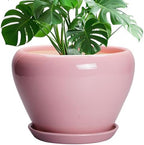 Ceramicfor 10 Inch Plant Pot - Ceramic Planter for Indoor Plants, Glaze Modern Round Planter with Drainage Hole and Saucer, Gifts for Plant Lovers, Office Patio Home Room Decor, Pink by Ceramicfor
