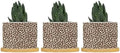 Leopard Brown Dot Planters Ceramic African Tribal Animal Print Round Flower Pot with Drainage Holes and Bamboo Tray Pot for Succulents Cactus Garden Windowsill by BRUYU5SE