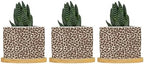 Leopard Brown Dot Planters Ceramic African Tribal Animal Print Round Flower Pot with Drainage Holes and Bamboo Tray Pot for Succulents Cactus Garden Windowsill by BRUYU5SE