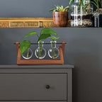 Winkee - Hydrovase Blossom | 3 x Flower Vase with 1 x Wooden Stand | Table Planter | Modern Decoration | Glass Propagation Station | Plant Glass | Root Glass Vase | Gift for Mother's Day, Birthday - Image 3