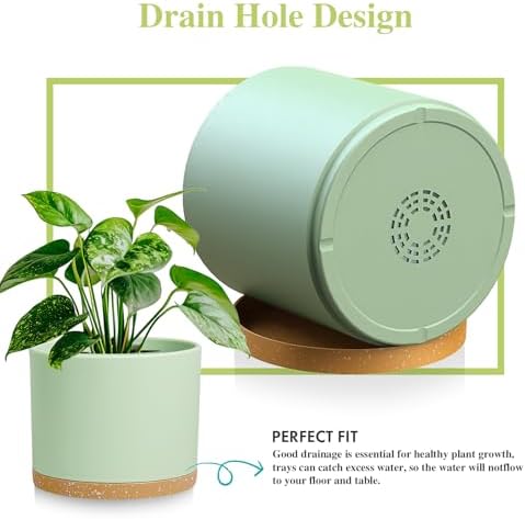 Large Plant Pots Set of 3 – 8", 9", 10" Indoor Flower Pots with Drainage Holes and Saucers, Big Planters for Monstera, Fiddle Leaf Fig, Snake Plant – 5 Colors - Image 4