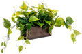 MyGift Artificial Pothos Plant in Burnt Brown Wood Rectangular Planter by MyGiftHome