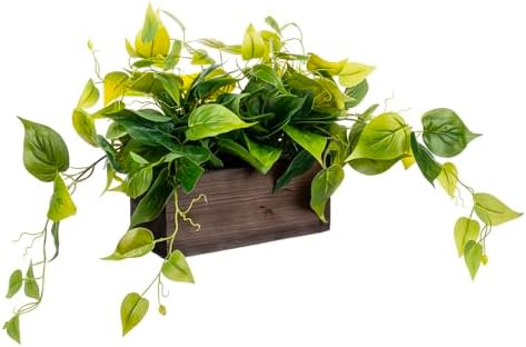 MyGift Artificial Pothos Plant in Burnt Brown Wood Rectangular Planter by MyGiftHome