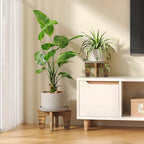 Plant Stands Indoor Outdoor, Plant Risers for Inside Pots Sturdy Short Plants Holder, Flower Pot Stand for Indoor Plants, Small Single Floor Plant Bamboo Display Stand (Brown 12“ (2 pack)) - Image 4