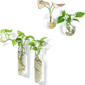 Kingbuy Wall Planter Terrariums Propagation Stations - 2 Cylinder Shaped and 2 Egg Shaped Glass Vases by Kingbuy