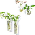 Kingbuy Wall Planter Terrariums Propagation Stations - 2 Cylinder Shaped and 2 Egg Shaped Glass Vases by Kingbuy