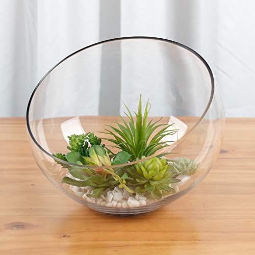 WGV Slant Cut Bowl Glass Vase, Width 11", Height 9.5", Clear Terrarium, Candy Dish, Fruit Jar, Floral Container for Wedding Party Event, Home Office Decor, 1 Piece - Image 5