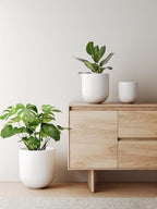 LE TAUCI 6, 8 & 10 Inch Ceramic Planter Set for Indoor Plants, White - Image 2