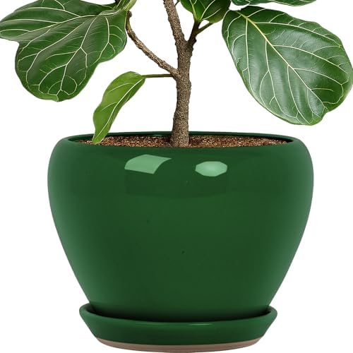 Deep Dream 10 Inch Plant Pot- Ceramic Planter Pot Round Plant Pots for Indoor Plants Outdoor Large Flower Pot with Drainage Holes & Trays, Green by DeepDream