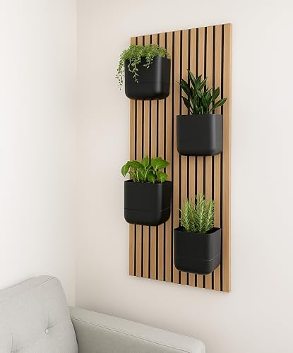 Phoenix Vine 6.5 Inch Wall Mounted Self-Watering Planter Pot for Indoor Houseplants and Herbs | Hanging Planter for Window Sills, Bathroom Walls, Home & Office Décor, Black, Set of 2, 01-C-E-2 - Image 7