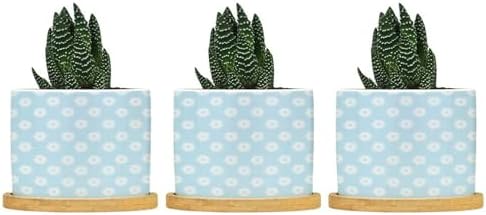 Timur in Blue Background Planter Ceramic Geometric Modern Round Plant Pots with Drainage Holes and Bamboo Tray Pot for Home Office Desk Garden by BRUYU5SE