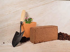 Envelor Coco Coir Brick 1.5 Lb Coconut Fiber Indoor Plant Soil 3 Pack - Image 4