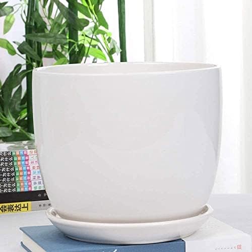 Plant Pot Set White Ceramic Planter for Indoor Outdoor Plants Flowers Modern Cylinder Flower Pot with Drainage Hole and Hole Saucer Saucer Office Balcony Decor by WLBHWL