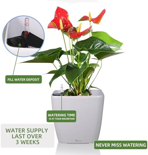 Dexceder 13x12 Self Watering Planter with Wheels (White Matte) - Image 5