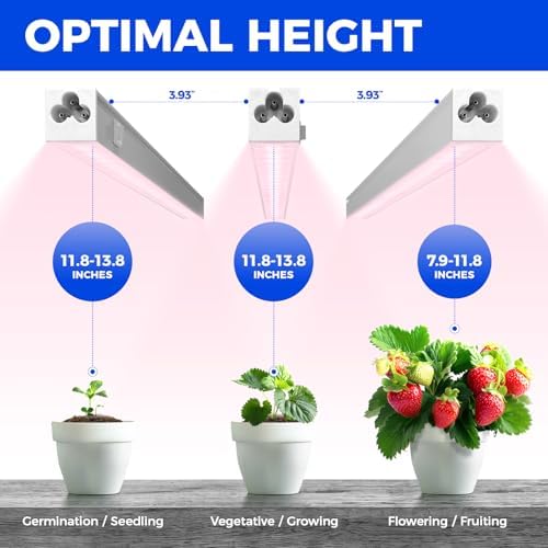 Barrina Grow Light for Indoor Plant, T5 1FT Full Spectrum Sunlight, 4 Packs - Image 5