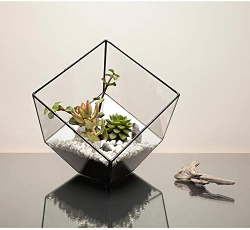 WGV Geometric Planter Terrarium Bulk, Width 8" Height 8.5" Clear Glass Black Frame DIY Succulent air Plant Miniature Fairy Garden Windowsill Tabletop Decor, Tilted Cube 12 Pieces - Image 6
