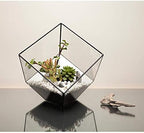 WGV Geometric Planter Terrarium Bulk, Width 8" Height 8.5" Clear Glass Black Frame DIY Succulent air Plant Miniature Fairy Garden Windowsill Tabletop Decor, Tilted Cube 12 Pieces - Image 6