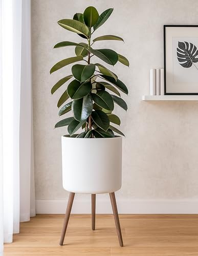 D'vine Dev 16 Inch Planter Pot with Wood Stand, White, 88-O-E-1 - Image 2