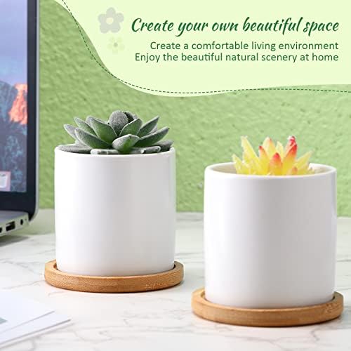 Cindeer 12 Pack Small Succulent Pots 3 Inch Plant Pots with Drainage,White - Image 4