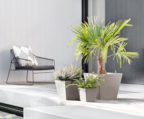 Ecopots Rotterdam Square Flower Planter, Taupe, 12" - Image 3