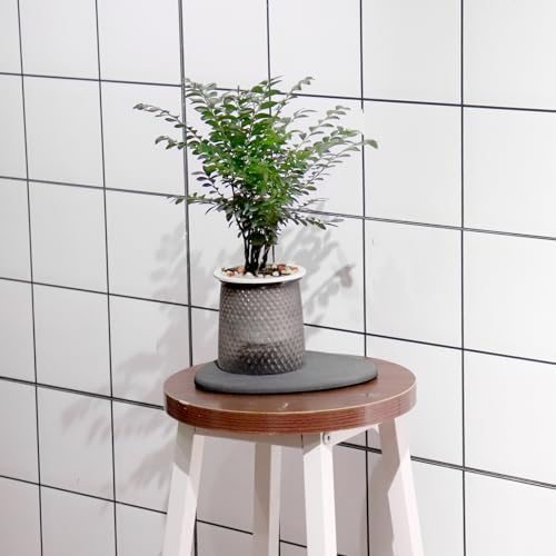 Elfcool Quick Dry Absorbent Flower Pot Saucer Dirp Tray Diatomaceous Earth Mat for Indoor Outdoor Plants (12''-Dark Grey-2pack) - Image 5