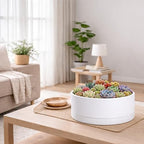 D'vine Dev 10 in Shallow Round Succulent Planter, White, 76-Z-A-2 - Image 6