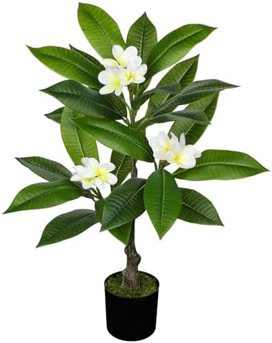 Briful Artificial Plants Indoor 26.77'' Fake Tropical Plumeria Flowers Tree Plants in Black Pot Hawaiian White Plumeria Rubra Faux Frangipani Tree Floor Plant for Home Office Wedding Decor by Briful