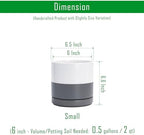 D'vine Dev 2-Pack Ceramic Pots with Saucers, White/Grey, 6.5 in, 94-V-C-6 - Image 3