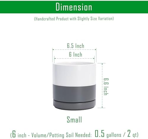 D'vine Dev 2-Pack Ceramic Pots with Saucers, White/Grey, 6.5 in, 94-V-C-6 - Image 3